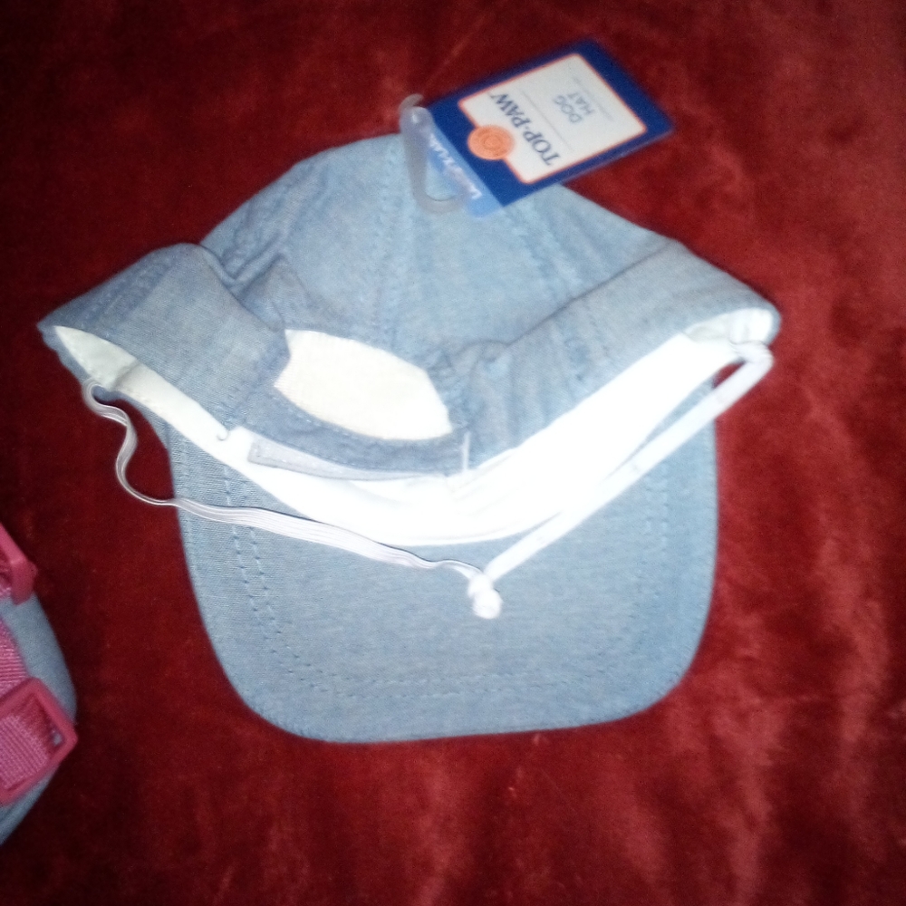 😛 Dog backpack & hat - Picture 4 of 4